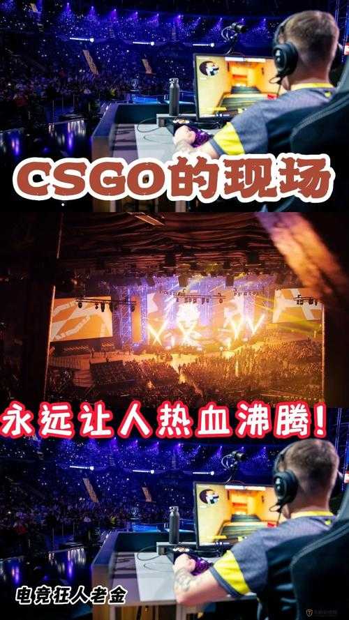 组队指南55岁大妈玩CSGO：大龄玩家的热血电竞之旅